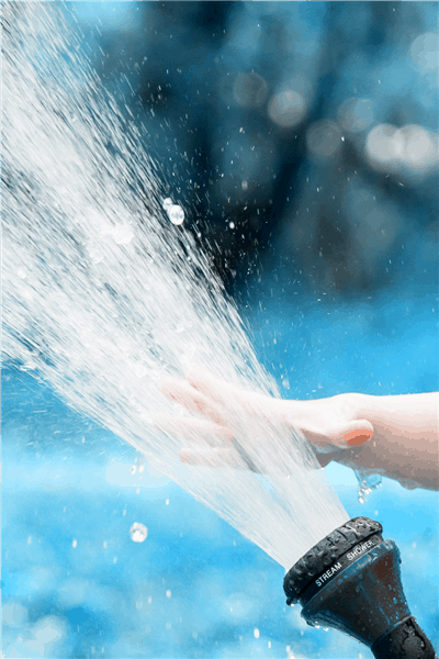 steps of cleaning a car roof box at home