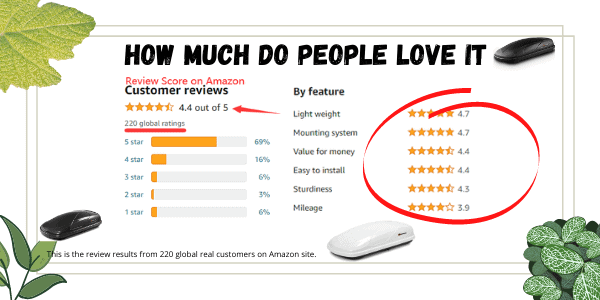 220 global real customers have reviewed Goplus car roof box on Amazon site.