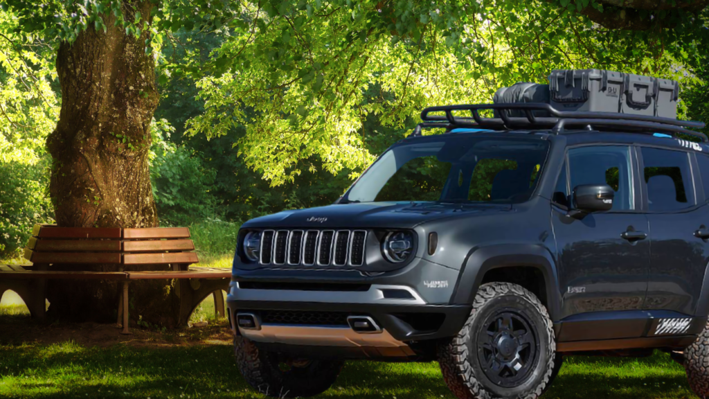 I park my uncle's black jeep renegade under s tree with roof racks on it.