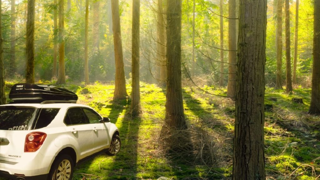 She drives her Chevrolet Equinox to the woods and brings all her gear and belongings in the black aerodynamic thule pulse roof box.