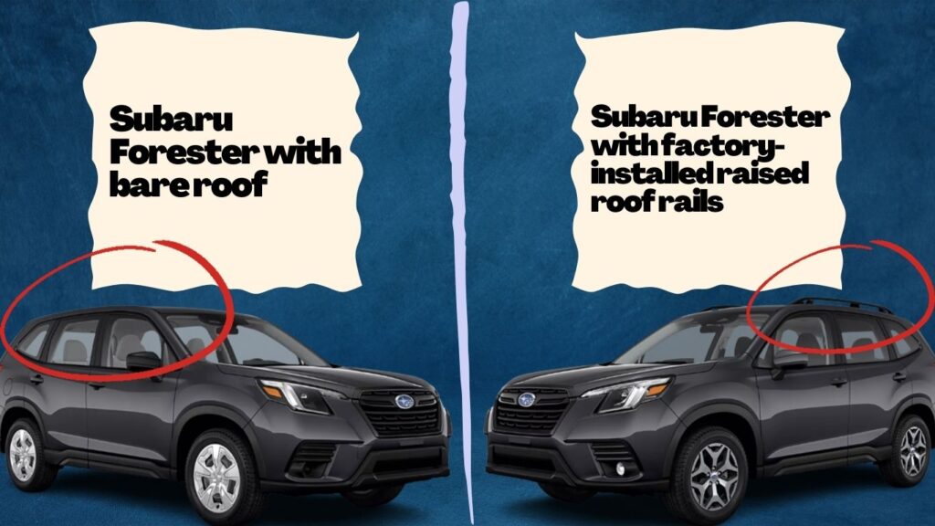 type of Subaru Forester roofs - bare roof and roof with factory raised roof rails