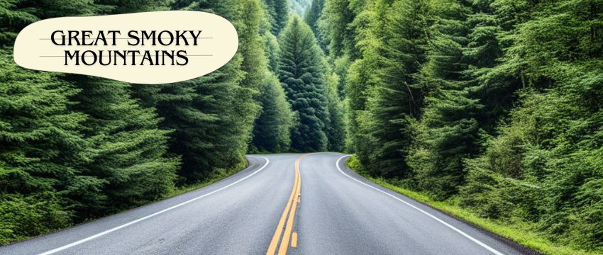 best places to stay on a road trip through the Great Smoky Mountains
