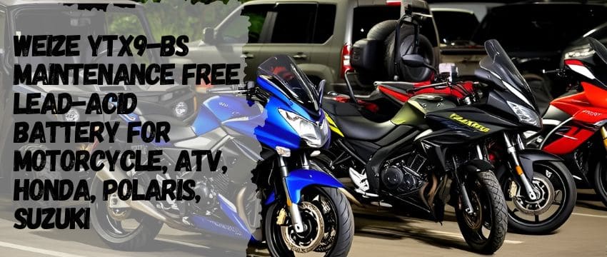 Weize YTX9-BS Maintenance Free Lead-Acid Battery: Powering Adventure with Reliability