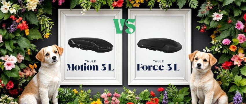 Side-by-side comparison: The Motion 3 L (left) has a sloped front, while the Force 3 L (right) has a boxier shape.