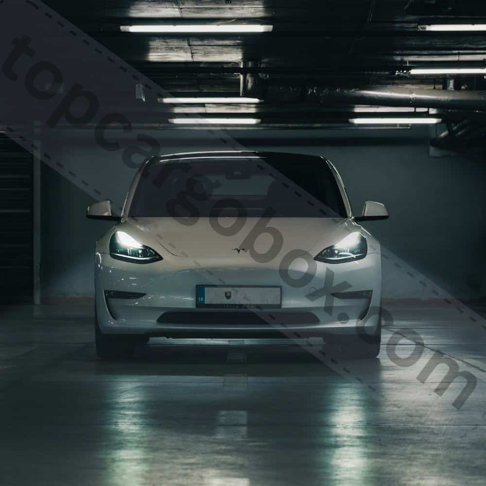 A set of durable black mud flaps installed on the wheels of a Tesla Model Y, protecting the paint from debris.